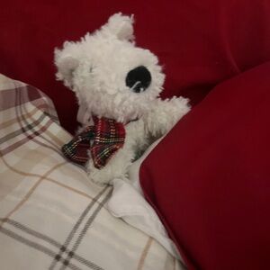 Meet your Posher, Erika